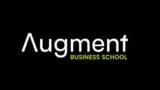 Augment The Augment Mba
