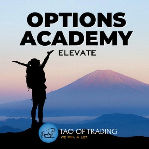 Simon Ree Options Academy Elevate