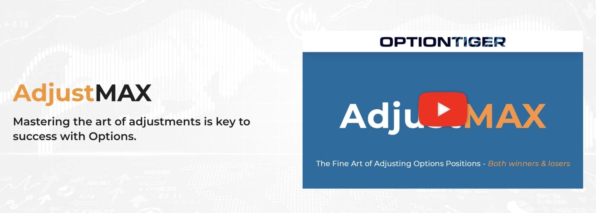 Option Tiger – Adjust Max